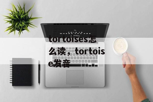 tortoises怎么读，tortoise发音-第1张图片-