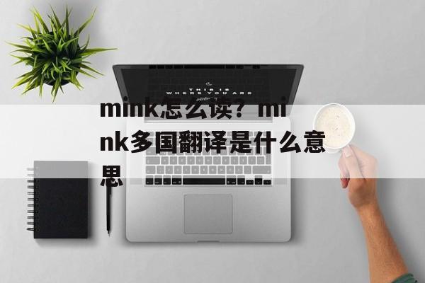 mink怎么读？mink多国翻译是什么意思-第1张图片-