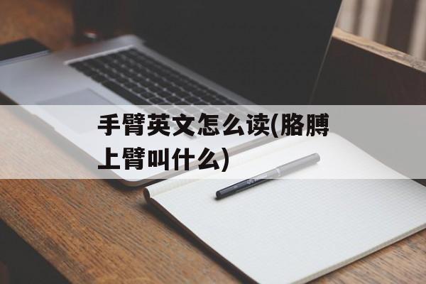 手臂英文怎么读(胳膊上臂叫什么)-第1张图片-