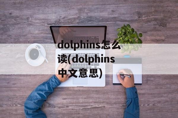 dolphins怎么读(dolphins中文意思)-第1张图片-