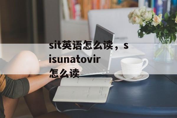 sit英语怎么读，sisunatovir怎么读-第1张图片-