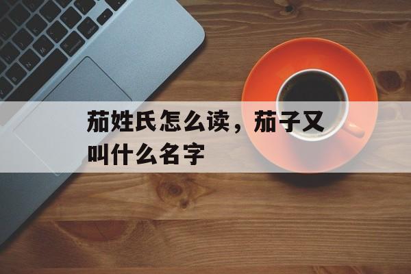 茄姓氏怎么读，茄子又叫什么名字-第1张图片-