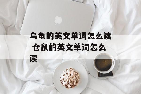 乌龟的英文单词怎么读 仓鼠的英文单词怎么读-第1张图片-
