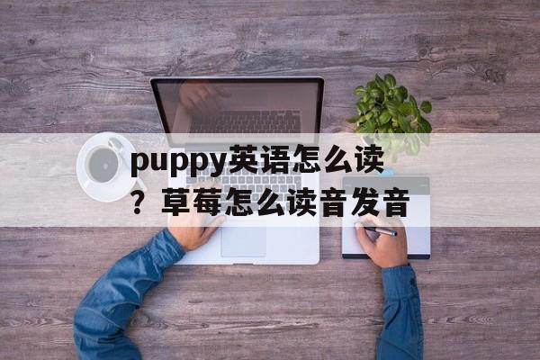 puppy英语怎么读？草莓怎么读音发音-第1张图片-
