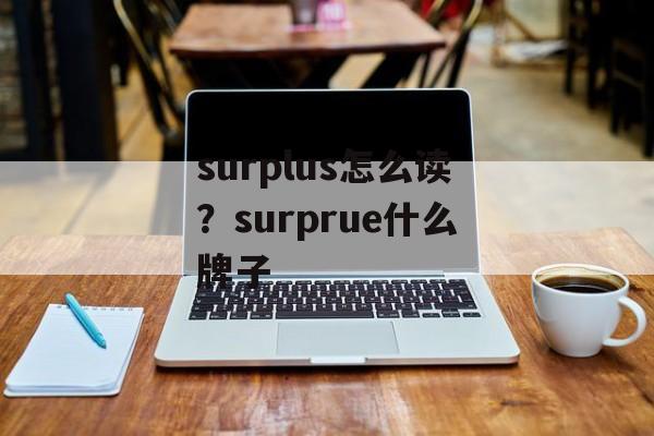 surplus怎么读？surprue什么牌子-第1张图片-