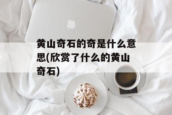 黄山奇石的奇是什么意思(欣赏了什么的黄山奇石)-第1张图片-
