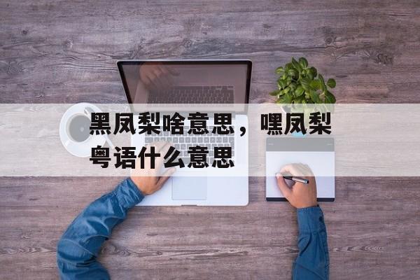 黑凤梨啥意思，嘿凤梨粤语什么意思-第1张图片-