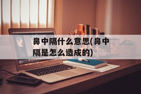 鼻中隔什么意思(鼻中隔是怎么造成的)-第1张图片-