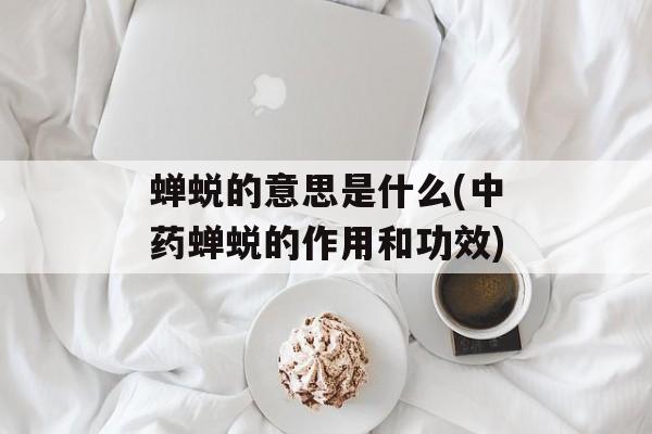蝉蜕的意思是什么(中药蝉蜕的作用和功效)-第1张图片-