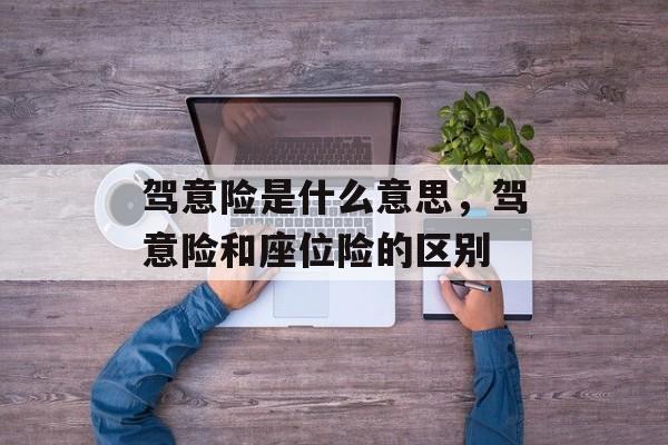 驾意险是什么意思，驾意险和座位险的区别-第1张图片-