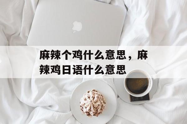 麻辣个鸡什么意思，麻辣鸡日语什么意思-第1张图片-