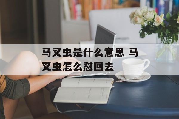马叉虫是什么意思 马叉虫怎么怼回去-第1张图片-