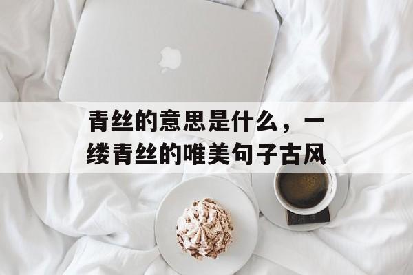 青丝的意思是什么，一缕青丝的唯美句子古风-第1张图片-