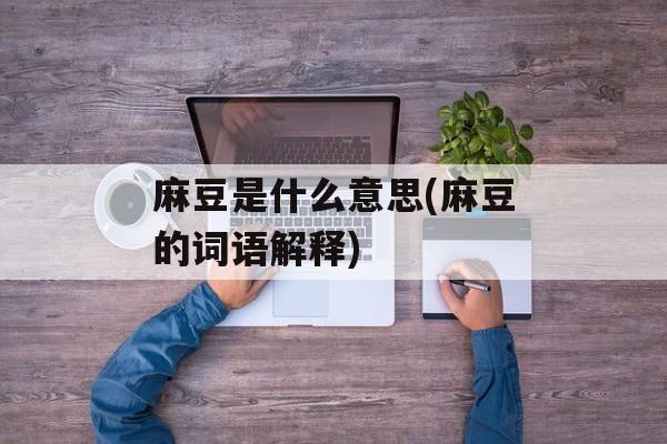 麻豆是什么意思(麻豆的词语解释)-第1张图片-