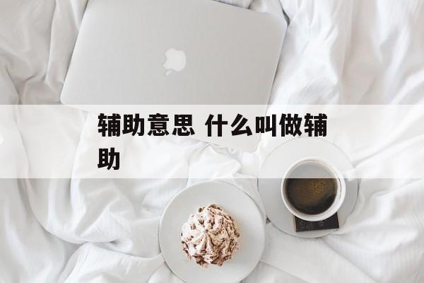 辅助意思 什么叫做辅助-第1张图片-