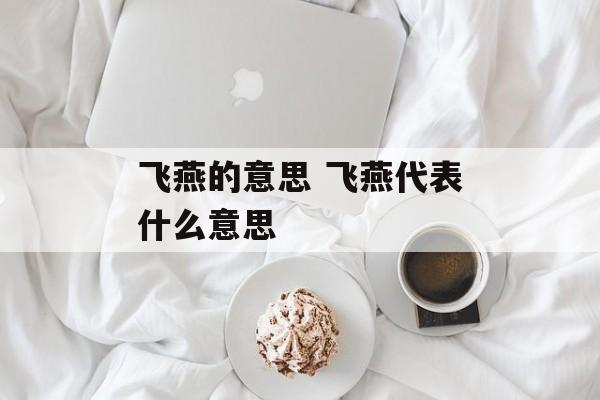 飞燕的意思 飞燕代表什么意思-第1张图片-