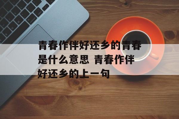 青春作伴好还乡的青春是什么意思 青春作伴好还乡的上一句-第1张图片-