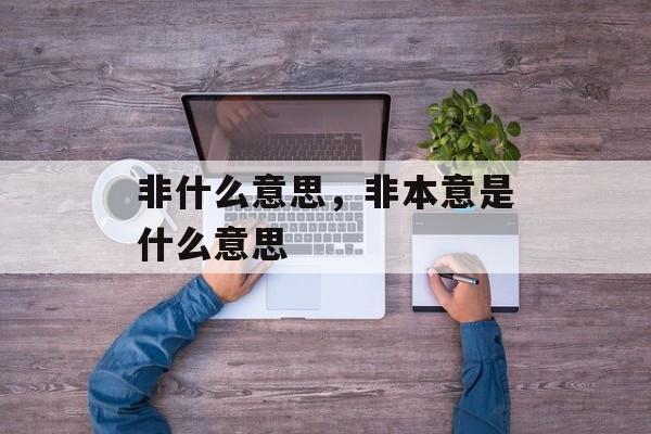 非什么意思，非本意是什么意思-第1张图片-