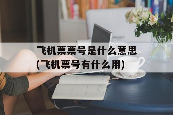 飞机票票号是什么意思(飞机票号有什么用)-第1张图片-