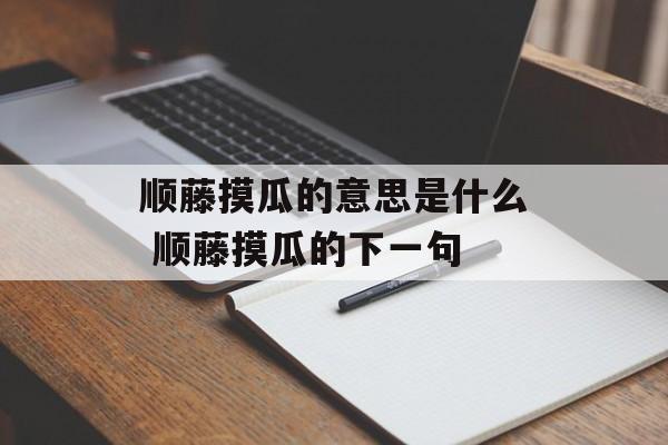 顺藤摸瓜的意思是什么 顺藤摸瓜的下一句-第1张图片-