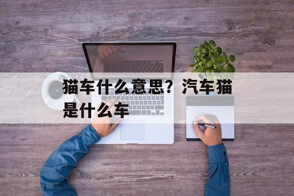 猫车什么意思？汽车猫是什么车-第1张图片-