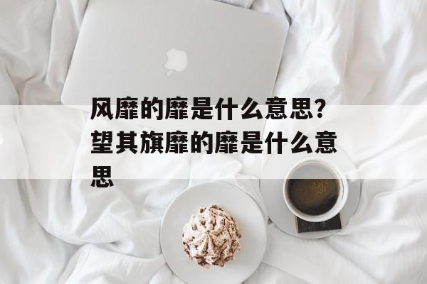风靡的靡是什么意思？望其旗靡的靡是什么意思-第1张图片-