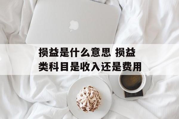 损益是什么意思 损益类科目是收入还是费用-第1张图片-