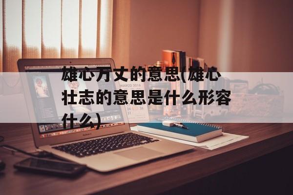 雄心万丈的意思(雄心壮志的意思是什么形容什么)-第1张图片-