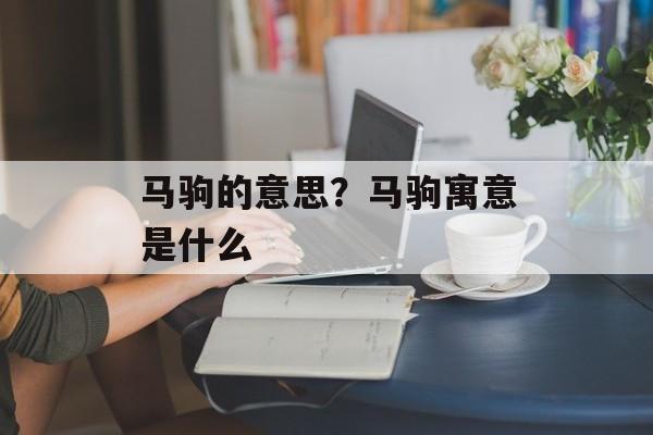 马驹的意思？马驹寓意是什么-第1张图片-
