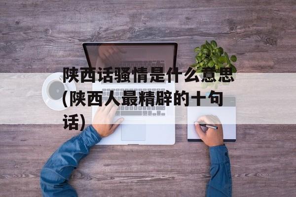 陕西话骚情是什么意思(陕西人最精辟的十句话)-第1张图片-