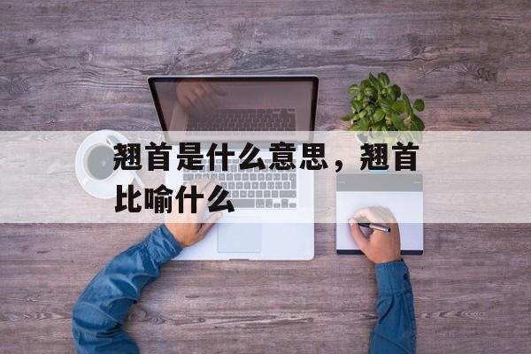 翘首是什么意思，翘首比喻什么-第1张图片-