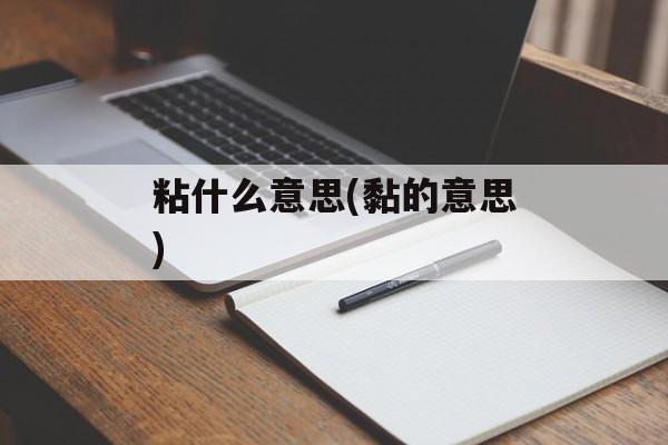 粘什么意思(黏的意思)-第1张图片-