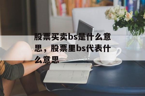 股票买卖bs是什么意思，股票里bs代表什么意思-第1张图片-