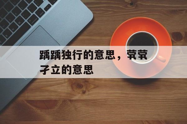 踽踽独行的意思，茕茕孑立的意思-第1张图片-
