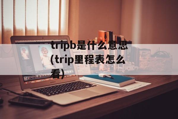 tripb是什么意思(trip里程表怎么看)-第1张图片-