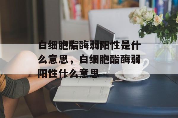 白细胞脂酶弱阳性是什么意思，白细胞酯酶弱阳性什么意思-第1张图片-