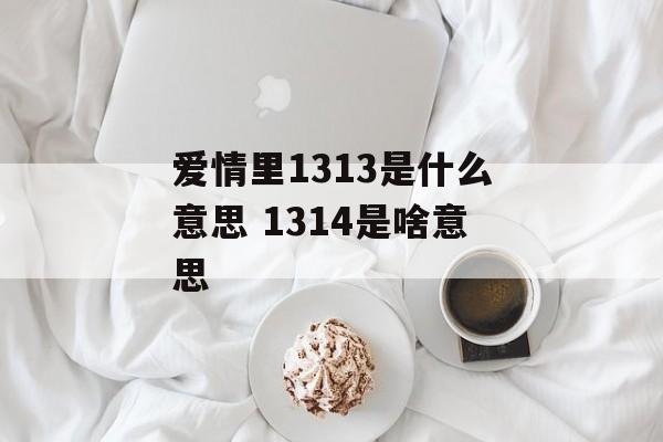 爱情里1313是什么意思 1314是啥意思-第1张图片-