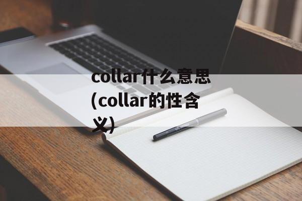 collar什么意思(collar的性含义)-第1张图片-