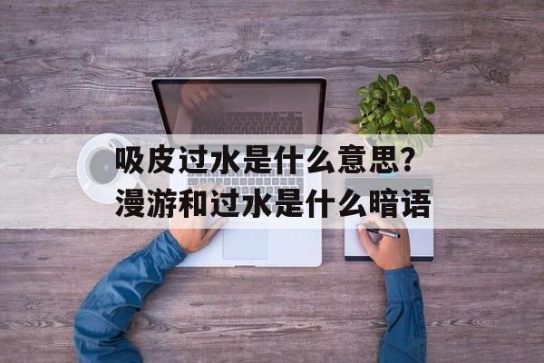 吸皮过水是什么意思？漫游和过水是什么暗语-第1张图片-