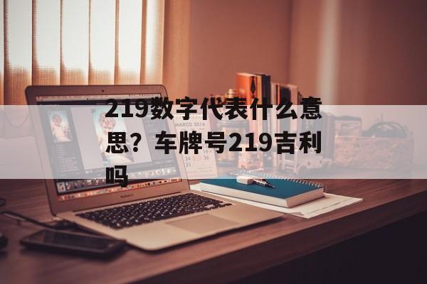 219数字代表什么意思？车牌号219吉利吗-第1张图片-