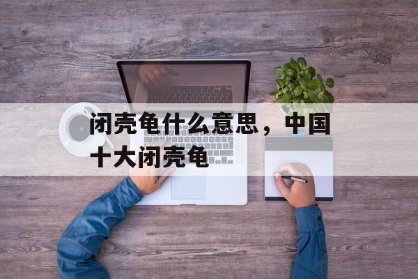 闭壳龟什么意思，中国十大闭壳龟-第1张图片-