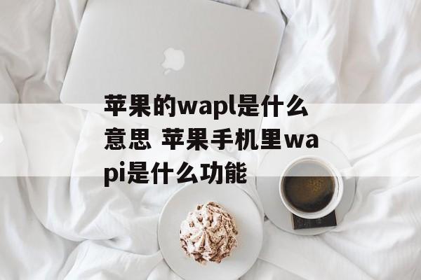 苹果的wapl是什么意思 苹果手机里wapi是什么功能-第1张图片-