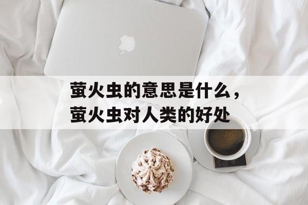 萤火虫的意思是什么，萤火虫对人类的好处-第1张图片-