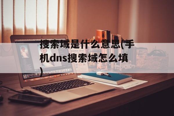 搜索域是什么意思(手机dns搜索域怎么填)-第1张图片-