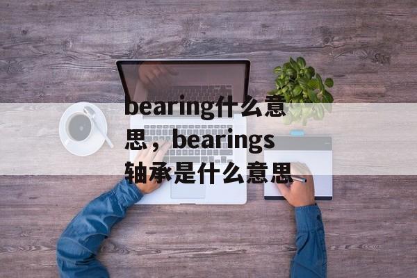 bearing什么意思，bearings轴承是什么意思-第1张图片-