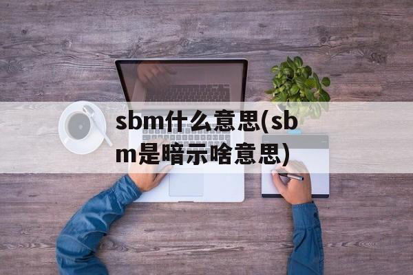 sbm什么意思(sbm是暗示啥意思)-第1张图片-