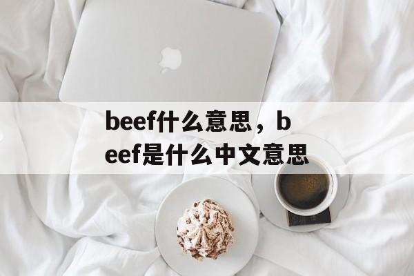 beef什么意思，beef是什么中文意思-第1张图片-