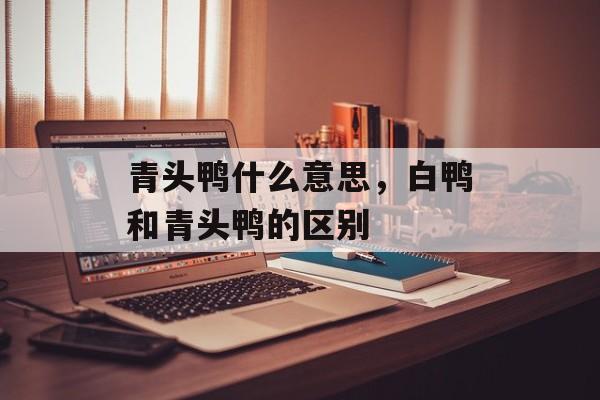 青头鸭什么意思，白鸭和青头鸭的区别-第1张图片-