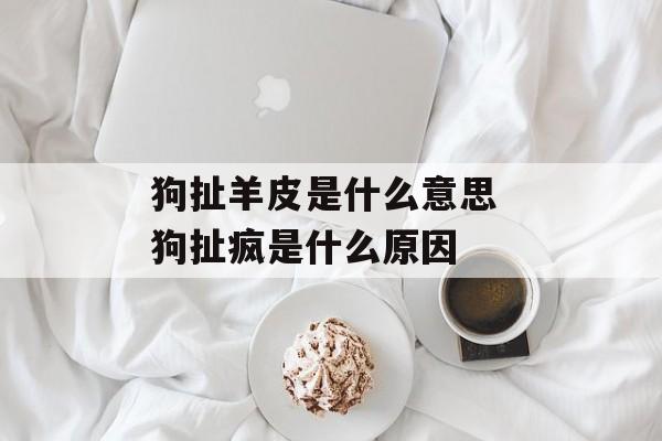 狗扯羊皮是什么意思 狗扯疯是什么原因-第1张图片-