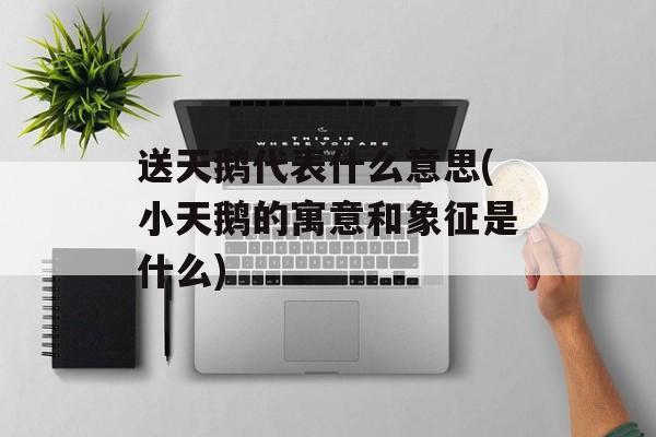 送天鹅代表什么意思(小天鹅的寓意和象征是什么)-第1张图片-